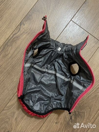 Одежда для маленьких собак