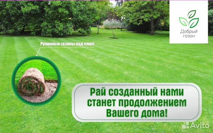 Рулонный газон