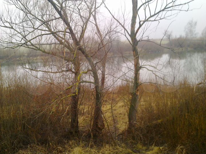 Участок 16 га (ИЖС)