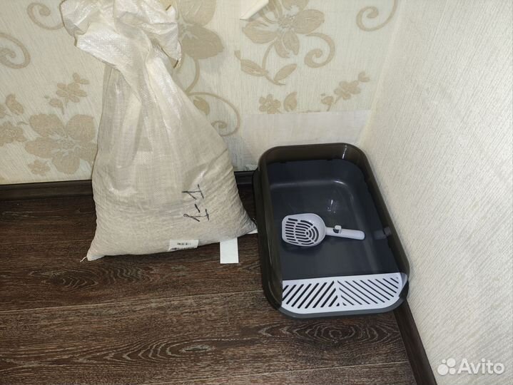 Кошачий лоток (вместе с наполнителем)