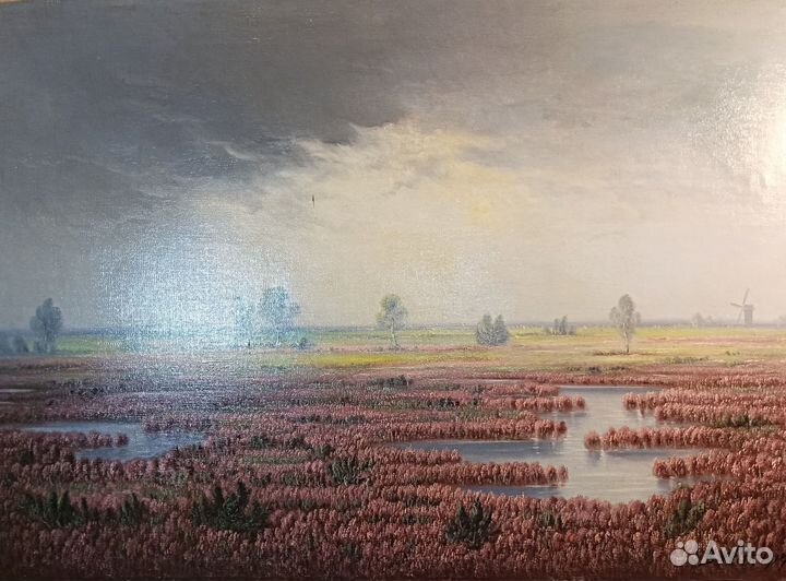 Заливной цветущий вересковый луг.Картина.Германия