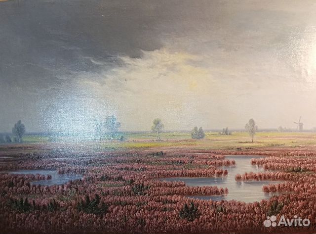 Заливной цветущий вересковый луг.Картина.Германия