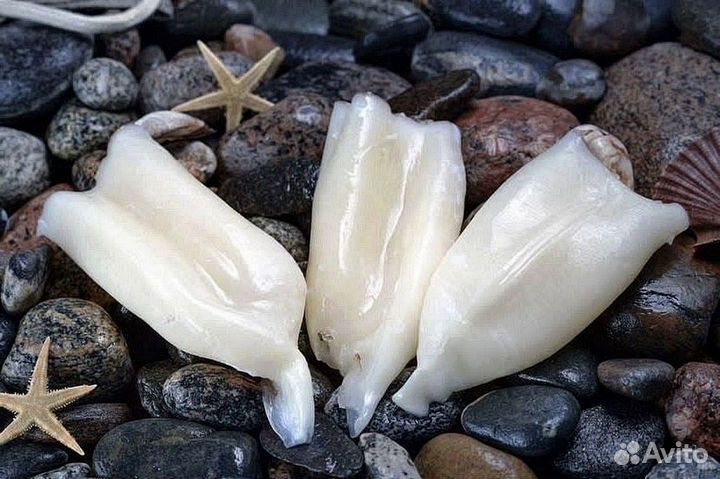 Морепродукты свежие в наличии