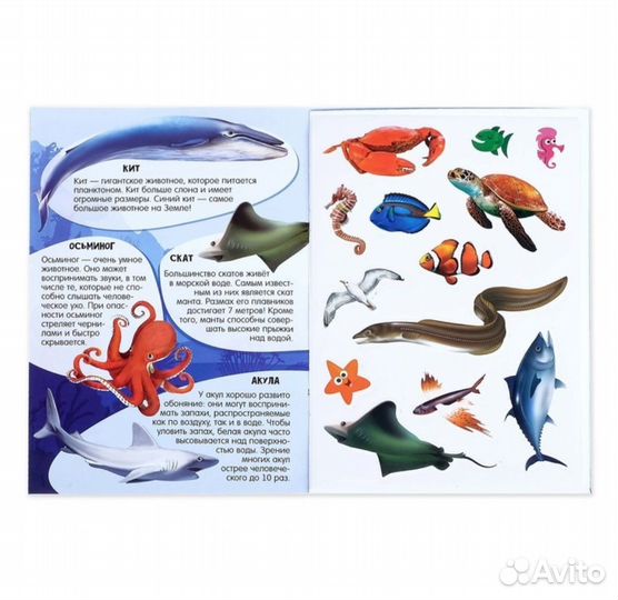 Книга с наклейками и растущими игрушками