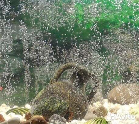 Аквариум 100 литров, с крышкой