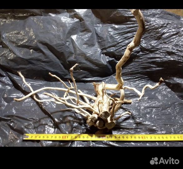 Коряги для аквариума