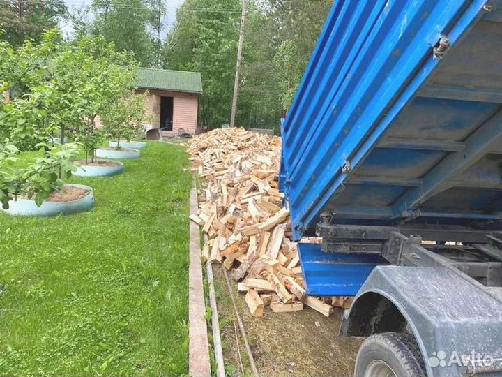 Дрова березовые