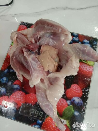 Мясо перепелов