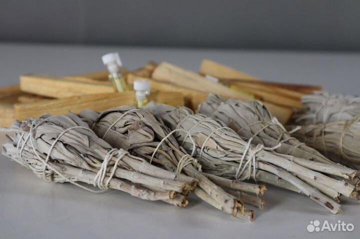 Шалфей Белый от 150шт опт для Вайлберис