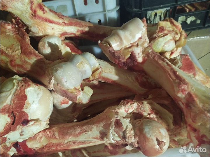 Ребра кости говяжий для собак