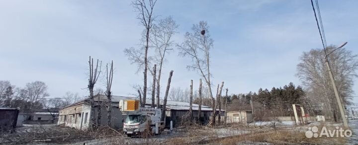 Спил деревьев,Уборка расчистка участка/Озеленение