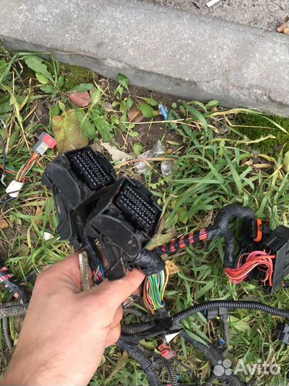 Проводка двигателя Калина 1 дв1,6 16 кл