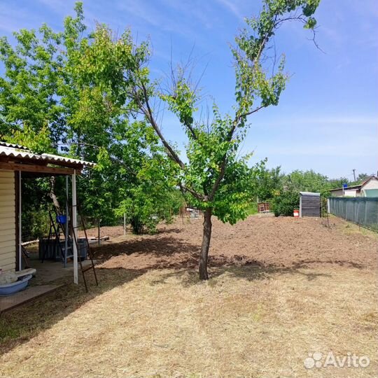 Уборка участков/Спил/Измельчение/Корчевание и тд