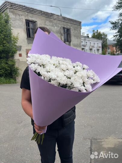 XXL букет ромашек