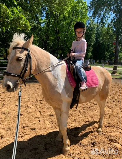 Конные прогулки, верховая езда, катание на лошадях