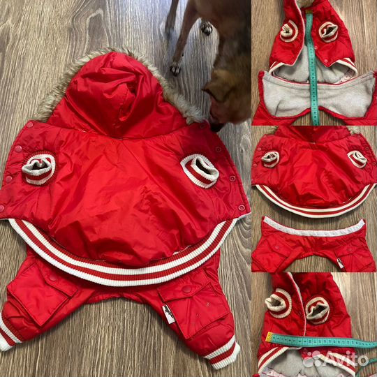 Одежда для маленьких собак