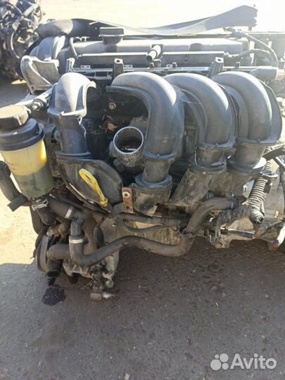 Двигатель Ford Focus 2 shda 2009