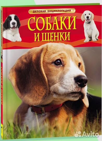 Книги, энциклопедии, Гравити Фолз