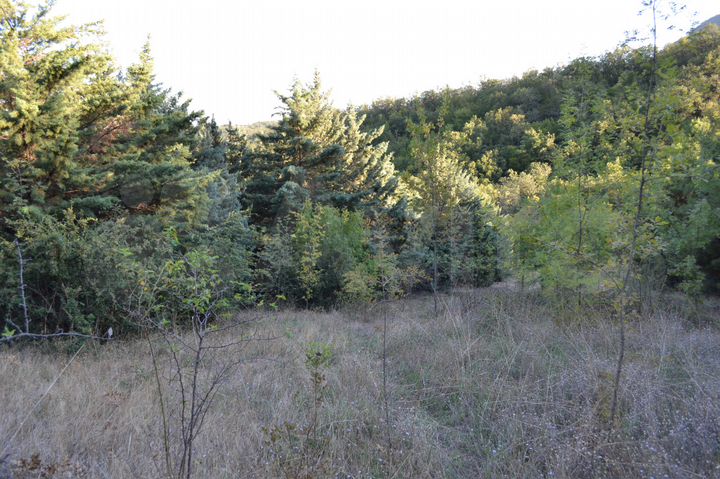 Участок 8,9 сот. (ИЖС)