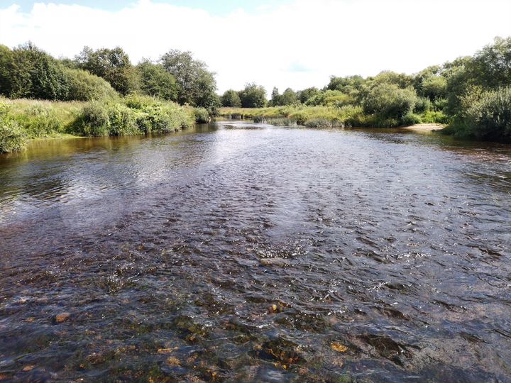 Участок 3,3 га (СНТ, ДНП)