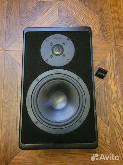 Акустика колонка canton Ergo F