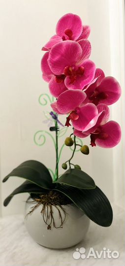 Композиция Орхидея