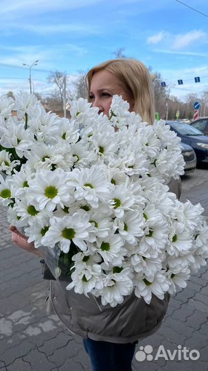 Хризантемы, ромашки, доставка цветов Казань