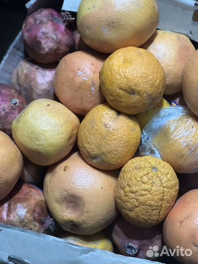 Овощи фрукты