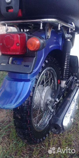 Suzuki birdie