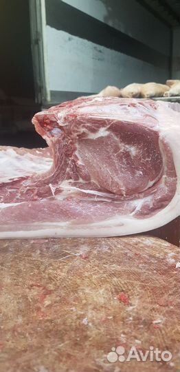 Мясо свинина полутуши