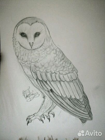 Рисую на заказ - портреты, скетчи, эскизы тату