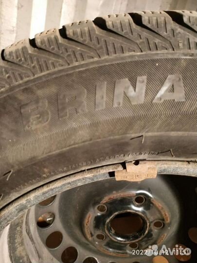 Viatti Brina 195/65 R15