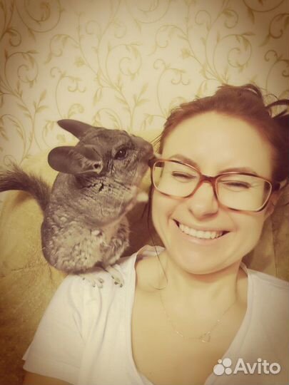 Передержка домашних животных