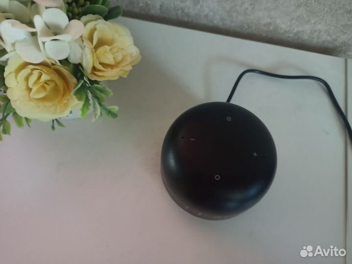 Vk капсула нео с Марусей