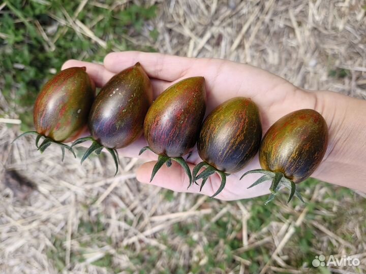 Набор семян Засолочное Чудо