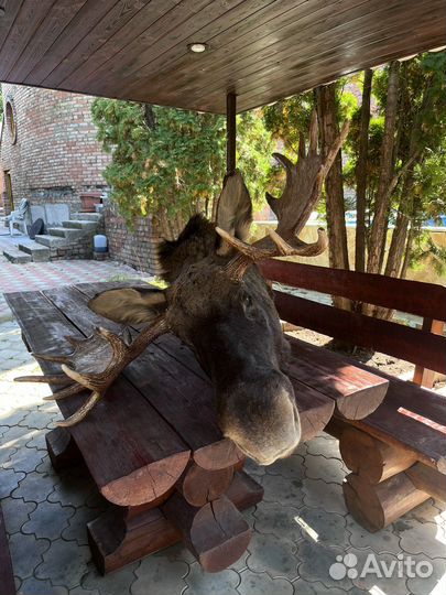 Имитация голова лося чучело