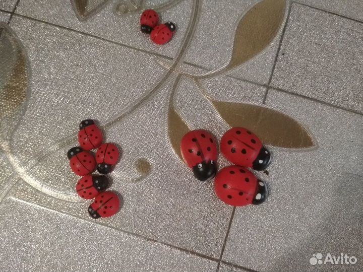 Божьи коровки