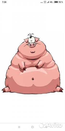 Свинина домашняя