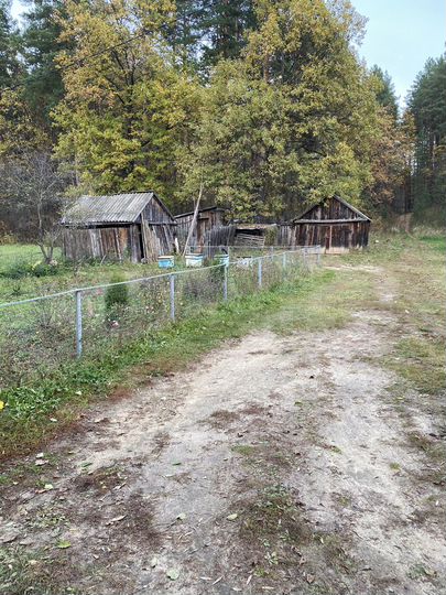 Дом 54 м² на участке 15 сот.