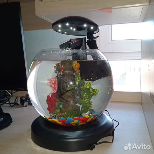 Аквариум 6.8 л (фильтр, крышка, освещение)