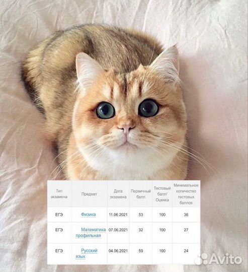 Репетитор по математике егэ профиль