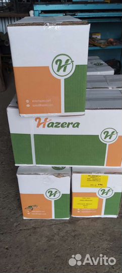 Продаются семена редиса