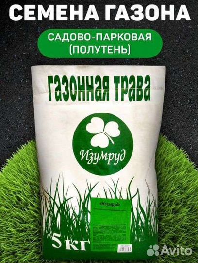 Газонная трава