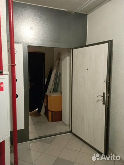 Входная металлическая дверь.Тамбурная дверь