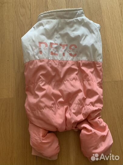 Одежда для собак