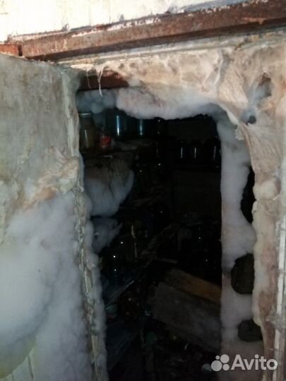 Обработка от грибка. Обработка от плесени