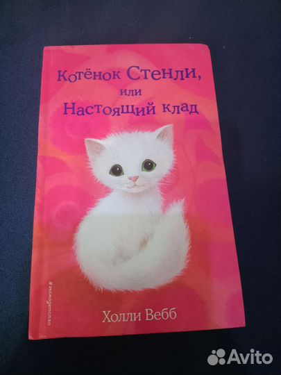 Котёнок Стенли, или настоящий клад