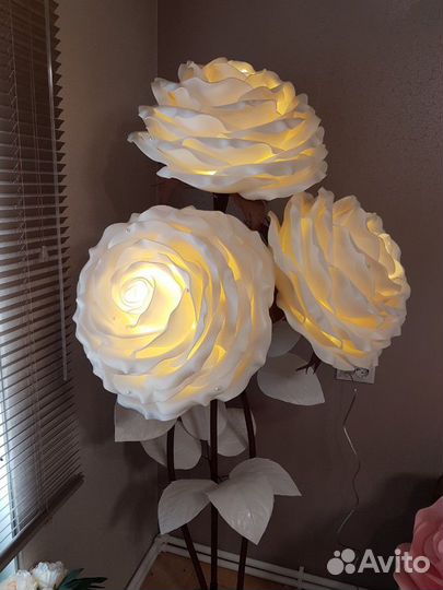 Цветы гиганты Ростовые цветы Изолон