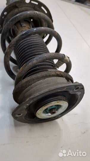 Амортизатор подвески Skoda Octavia (A7), 2016