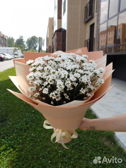 Букет цветов из хризантемы Сантини ромашка